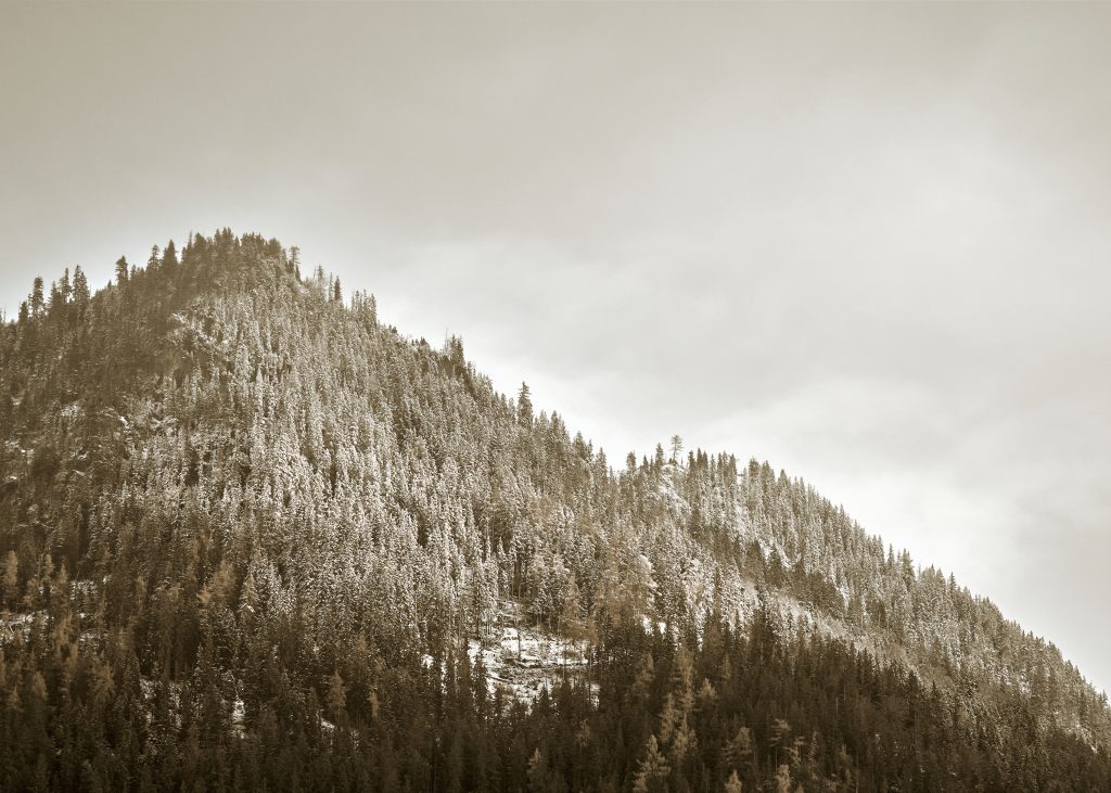 Bild von einem Berg im Chiemgau