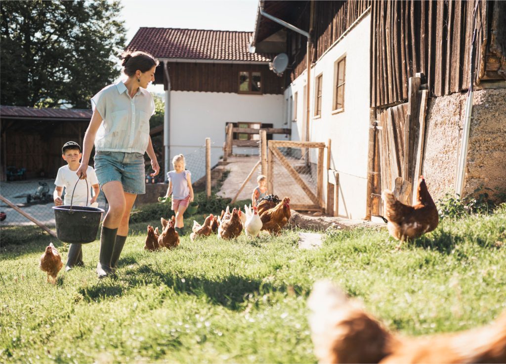 Elisabeth Zeller füttert die Hühner im Bauernhauf "Beim Bergbauern", während im Hintergrund Kinder spielen.